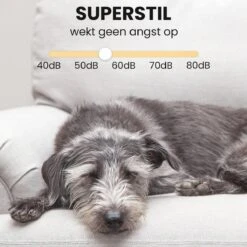 Hondentondeuse - Honden & Katten - Trimmer - Geluidsloos -Huisdierbenodigdheden 1200x1200 333