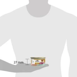 Gourmet Gold Hartig Torentje DUO - Kattenvoer Natvoer - Zalm & Koolvis - 24 X 85 Gram -Huisdierbenodigdheden 1200x1200 3380