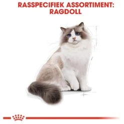 Royal Canin Ragdoll Adult - Kattenvoer - 10 Kg -Huisdierbenodigdheden 1200x1200 3399