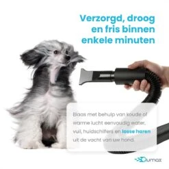 Qumax Professionele Hondenföhn Met 4 Opzetstukken – Waterblazer Voor Honden – Stil Design – Compact En Modern - Zwart -Huisdierbenodigdheden 1200x1200 340