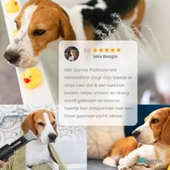 Qumax Professionele Hondenföhn Met 4 Opzetstukken – Waterblazer Voor Honden – Stil Design – Compact En Modern - Zwart -Huisdierbenodigdheden 1200x1200 341