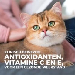 Hill's Science Plan Kattenvoer Adult Tonijn 7 Kg -Huisdierbenodigdheden 1200x1200 3417