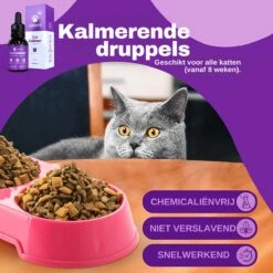 Aerend - Kalmerende Druppels Voor Katten - Anti-stress - Zanipro® 30ml - 100% Natuurlijk Uit Het Verenigd Koninkrijk - Met Ashwagandha & Valeriaan - No Stress Druppels Om Gedragsproblemen Te Verlichten - Voor Thuis En Onderweg -Huisdierbenodigdheden 1200x1200 3431