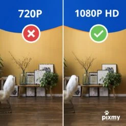 PIXMY - Automatische Voerbak Kat - 4L - Wi-Fi - Met App En Full HD Camera - Voerbak Kat -Huisdierbenodigdheden 1200x1200 3508