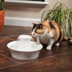 Petsafe Drinkwell Ceramic Avalon - Drinkfontein - 2 L -Huisdierbenodigdheden 1200x1200 3530