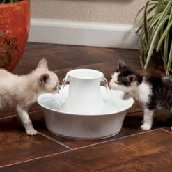 Petsafe Drinkwell Ceramic Avalon - Drinkfontein - 2 L -Huisdierbenodigdheden 1200x1200 3531