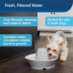 PetSafe® Streamside Ceramic Pet Fountain - Keramische Drinkfontein Voor Katten En Kleine Honden - Water Borrelt Zacht Over De Toren - Door Het Design Van Alle Kanten Bereikbaar - 1,8 Liter - PetSafe Streamside -Huisdierbenodigdheden 1200x1200 3534