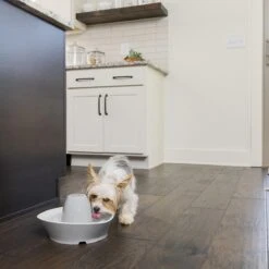 PetSafe® Streamside Ceramic Pet Fountain - Keramische Drinkfontein Voor Katten En Kleine Honden - Water Borrelt Zacht Over De Toren - Door Het Design Van Alle Kanten Bereikbaar - 1,8 Liter - PetSafe Streamside -Huisdierbenodigdheden 1200x1200 3536