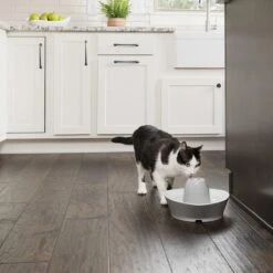 PetSafe® Streamside Ceramic Pet Fountain - Keramische Drinkfontein Voor Katten En Kleine Honden - Water Borrelt Zacht Over De Toren - Door Het Design Van Alle Kanten Bereikbaar - 1,8 Liter - PetSafe Streamside -Huisdierbenodigdheden 1200x1200 3537