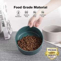 GIZMO 2x Voerbak Kat - 400 Ml - Groen - Keramische Drink- & Voerbakken Met Standaard - 13 Cm - 2 Stuks -Huisdierbenodigdheden 1200x1200 3547