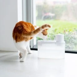 Hoopo® Agua - DRAADLOZE Waterfontein Katten - SMART Waterfontein Katten - UVC Disinfectie - 2 Liter - Automatische Katten Fontein -Huisdierbenodigdheden 1200x1200 3553