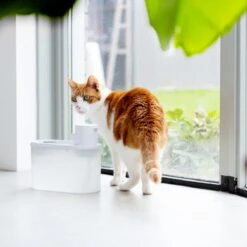 Hoopo® Agua - DRAADLOZE Waterfontein Katten - SMART Waterfontein Katten - UVC Disinfectie - 2 Liter - Automatische Katten Fontein -Huisdierbenodigdheden 1200x1200 3554