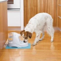 Petsafe Drinkwell Platinum - Drinkfontein - 5 L -Huisdierbenodigdheden 1200x1200 3562