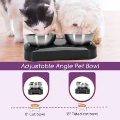 Nobleza Katten Voerbakjes - Ergonomische Dubbele Voerbak - Anti Braak Voerbak Voor Katten - Zwart - Dubbel - RVS -Huisdierbenodigdheden 1200x1200 3568