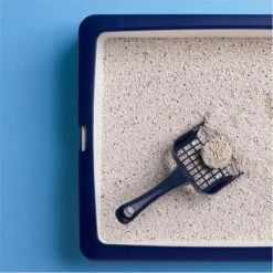 Catsan Active Fresh - Kattenbakvulling - 8 L -Huisdierbenodigdheden 1200x1200 3583