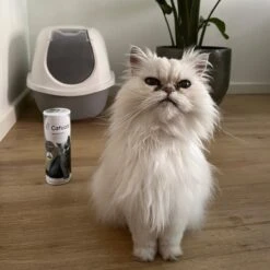 Catuals Kattenbakvulling Geurverdrijver - Neutraliseert Urinegeur Van Katten - Baby Care - 1kg -Huisdierbenodigdheden 1200x1200 3604