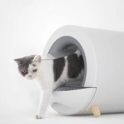 XL Kattenbak - Tunnel Met Geurfilter En Lade - Design Kattenbak -Huisdierbenodigdheden 1200x1200 3617