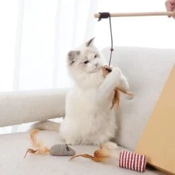 GIZMO Luxe Kattenspeeltjes Set - 7 Speeltjes - Interactieve Kattenhengel, Kattenspeelgoed & Speelmuisjes - Kitten Speeltjes -Huisdierbenodigdheden 1200x1200 3642