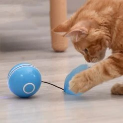 Otiume Elektrische Speelbal - Slimme Interactieve Zelfrollende Bal - Speelgoed Voor Katten - Kattenspeelgoed - Blauw -Huisdierbenodigdheden 1200x1200 3643