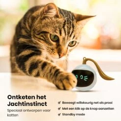Otiume Slimme Katten Speeltje - Interactieve Zelf Rollende Bal Voor Katten - Kattenspeeltjes -Speelgoed Voor Dieren - USB Oplaadbaar -Huisdierbenodigdheden 1200x1200 3645