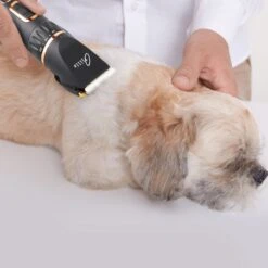Tjilla Professionele Dieren/honden Tondeuse Set Extra Krachtig - Honden Trimmer - Lang Of Kortharige Huisdieren Katten & Honden - Draadloos - Weinig Geluid -Huisdierbenodigdheden 1200x1200 365
