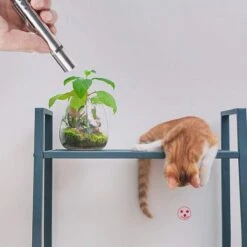 Merkloos Laserpen - Daily Accessoires - USB Oplaadbaar - Kattenspeeltjes - Laserlampje - 7 Verschillende Standen - RVS Zilver - Zaklamp - UV Lamp – Kattenspeelgoed -Huisdierbenodigdheden 1200x1200 3658