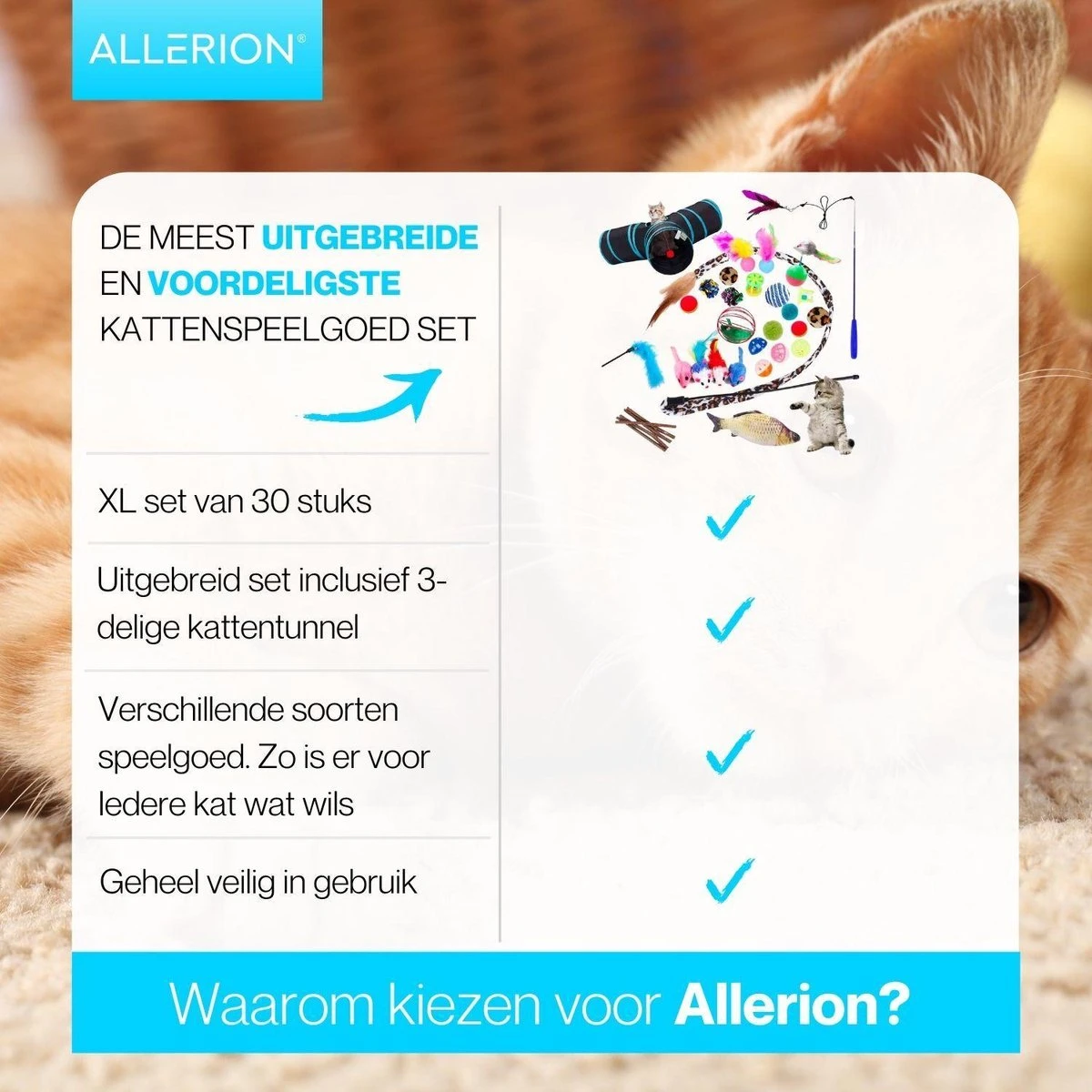 Allerion Kattenspeeltjes Set – 30-delig – Intelligentie 6 Allerion Kattenspeeltjes Set – 30-delig – Intelligentie - Afbeelding 6