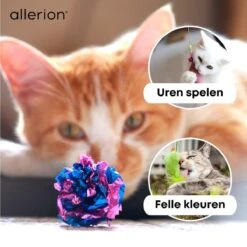 Allerion Kattenspeeltjes Set – 30-delig – Intelligentie 14 Allerion Kattenspeeltjes Set – 30-delig – Intelligentie -Huisdierbenodigdheden 1200x1200 3669