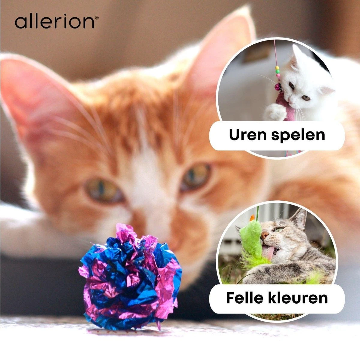 Allerion Kattenspeeltjes Set – 30-delig – Intelligentie 7 Allerion Kattenspeeltjes Set – 30-delig – Intelligentie - Afbeelding 7