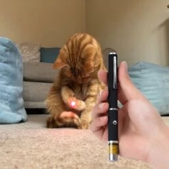 Katten Laser - Dierenwinkel Nederland -Huisdierbenodigdheden 1200x1200 3698