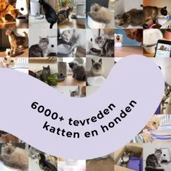 Pettadore - Laser Kattenspeeltjes - Smart Met Autoplay En Handmatig Via App -Huisdierbenodigdheden 1200x1200 3720