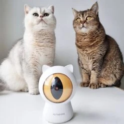 Pettadore - Laser Kattenspeeltjes - Smart Met Autoplay En Handmatig Via App -Huisdierbenodigdheden 1200x1200 3725