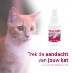 LBB - Catnip Spray 50ML - 100% Natuurlijk - CE Gekeurd - Kattenkruid Spray - Catnip Speelgoed - Valeriaan - Kat - Katten -Huisdierbenodigdheden 1200x1200 3736