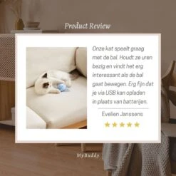 MyBuddy - Interactieve Zelf Rollende Bal - Kattenspeeltjes - Kattenspeelgoed - Bal Voor Katten - LED Lights - Speelgoed - USB - Roze -Huisdierbenodigdheden 1200x1200 3743