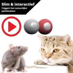 Cheerble Mini Ball 2.0 - Slimme Interactieve Zelf Rollende Bal Voor Katten - 3 Speelmodi - Kattenspeeltjes - USB Oplaadbaar - Rood -Huisdierbenodigdheden 1200x1200 3744