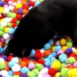 Make Me Purr Glitter Pompon Ballen (10 Stuks) - Kattenspeeltjes - Kattenspeelgoed - Speelgoed Voor Katten - Kat Speeltje Bal - Kitten Speeltjes Balletjes -Huisdierbenodigdheden 1200x1200 3748