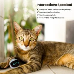 Otiume Interactieve Speelbal - Slimme Interactieve Jaag Speeltje Voor Katten - Kattenspeeltjes - Intelligente Jaagbal - AI -USB Oplaadbaar - LED - Blauw -Huisdierbenodigdheden 1200x1200 3752
