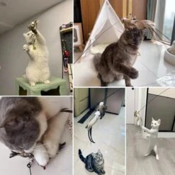 Kattenspeelgoed - Simulatie Vogel - Interactieve Grappige Kattenspeeltjes - Kattenhengel Met Zuignap + 4 Vogels + Een Kattenhengel GRATIS -Huisdierbenodigdheden 1200x1200 3758