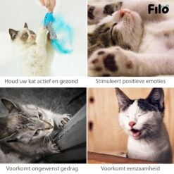 Filo Kattenhengel Set + 12 Kattenspeeltjes – Speelhengels Interactief Kattenspeelgoed – Hengel Kattenspeeltje Kittens - Speelgoed Speelhengel Vis Kat En Kitten -Huisdierbenodigdheden 1200x1200 3762