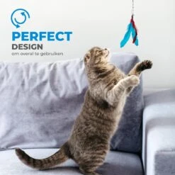 Merkloos 2 Kattenhengels Met 10 Speeltjes – Bewegende Kattenspeeltjes Met Veren En Belletjes – Interactieve Kattenspeelgoed Voor Kittens – Cat Toys -Huisdierbenodigdheden 1200x1200 3765