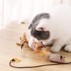 Kattenspeelgoed - Set Met 7 Kattenspeeltjes - Complete Set - Kattenhengel - Speelmuis -Huisdierbenodigdheden 1200x1200 3770