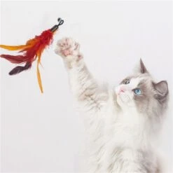 Merkloos Kattenhengel Met 10 Opzetstukjes - Kat Speelhengel Met Veren - Speelgoed Hengel Voor Katten – Kittenspeeltjes Met Veer – Kattenspeelgoed – Katten Speeltjes -Huisdierbenodigdheden 1200x1200 3771