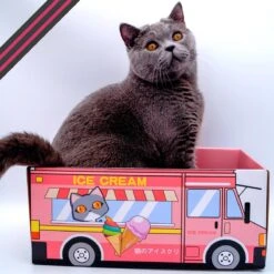 Make Me Purr Kattendoos Van Karton (Ice Cream) - Inclusief Kartonnen Krabmat - Speelgoed Doos Voor Katten Met Krab Mat - Kat Krabpaal Speeltje - Kattenbed Kattenmand Kattenhuis Kattentunnel - Kattenspeelgoed - Kattenspeeltjes - Kitten Speeltjes -Huisdierbenodigdheden 1200x1200 3789