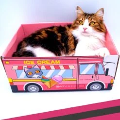 Make Me Purr Kattendoos Van Karton (Ice Cream) - Inclusief Kartonnen Krabmat - Speelgoed Doos Voor Katten Met Krab Mat - Kat Krabpaal Speeltje - Kattenbed Kattenmand Kattenhuis Kattentunnel - Kattenspeelgoed - Kattenspeeltjes - Kitten Speeltjes -Huisdierbenodigdheden 1200x1200 3790