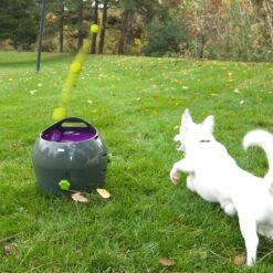 PetSafe Automatische Ballenwerper - Dierenspeelgoed -Huisdierbenodigdheden 1200x1200 38