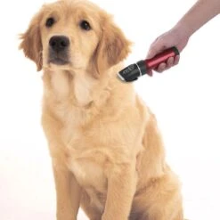 Merkloos Hondentondeuse, Hundeschermaschine / Dog Clippers - Dierenhaartrimmer, Hondentondeuse Kit Hond Verzorging -Huisdierbenodigdheden 1200x1200 381