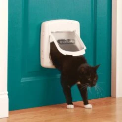 Petsafe Kattenluik 400 - Wit 25 Petsafe Kattenluik 400 - Wit -Huisdierbenodigdheden 1200x1200 3845