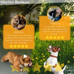 AVE Pets® Complete Hondentondeuse Set - Draadloos Tondeuse - Scheerapparaat Voor Je Hond Of Kat - Huisdier Trimmer - Professionele Dierentondeuse - Dieren Verzorging -Huisdierbenodigdheden 1200x1200 385