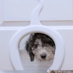 PetSafe Staywell® Cat Corridor - Kattendoorgang Voor Binnenshuis - Overschilderbaar Design - Voor Katten Tot 9 Kg - Staywell Cat Corridor 12 PetSafe Staywell® Cat Corridor - Kattendoorgang Voor Binnenshuis - Overschilderbaar Design - Voor Katten Tot 9 Kg - Staywell Cat Corridor -Huisdierbenodigdheden 1200x1200 3859