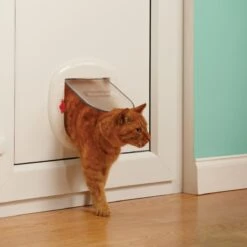 Petsafe 200 Kattenluik - Wit - L - 29,4 X 29,5 X 5 Cm -Huisdierbenodigdheden 1200x1200 3903